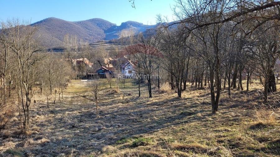 Teren intravilan 1.271 mp – Izvoarele, jud. Alba - 22