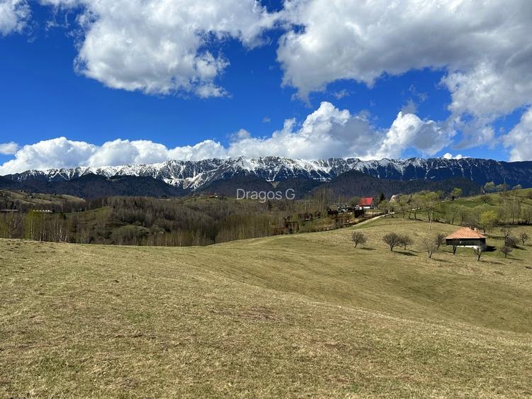 Teren 1550 mp, sat Pestera, zona Bran-Moieciu, jud. Brasov - 3