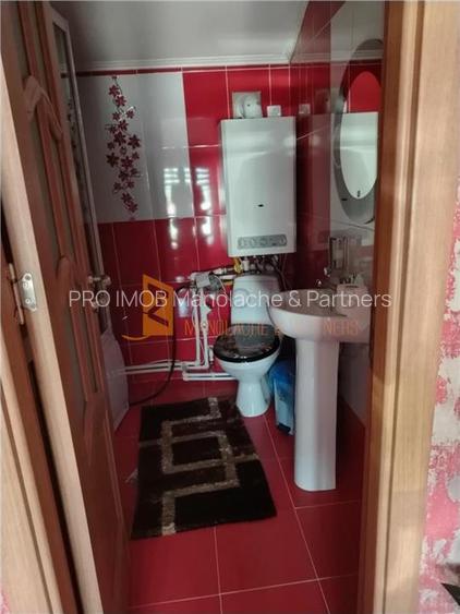 Casa tip P+M zona Smeeni - 15