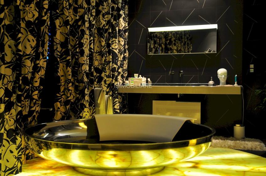 PENTHOUSE UNICAT vedere parc si la lac Herastrau - 18