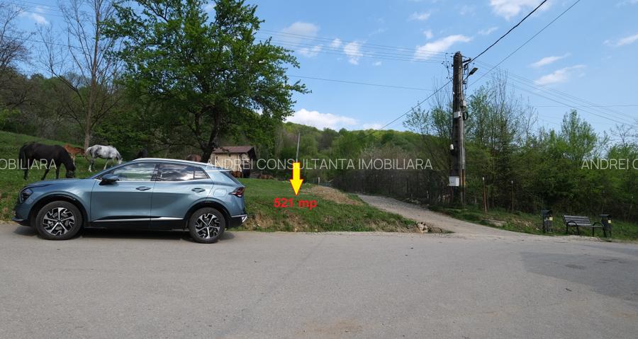 16000 Euro vanzare 521 mp teren asfalt apa gaz curent Cosminele Prahova superb - 4