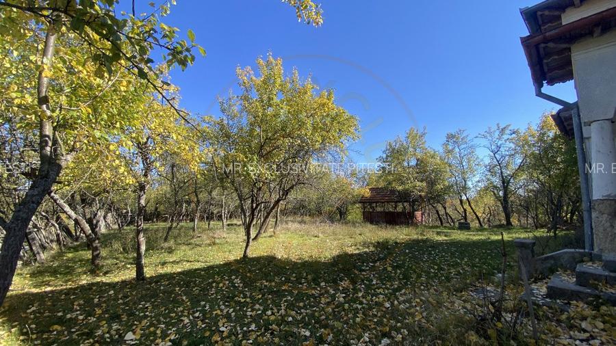 Casa+teren 2713 mp in loc. Babana, jud. Arges. Comision 0% - 3