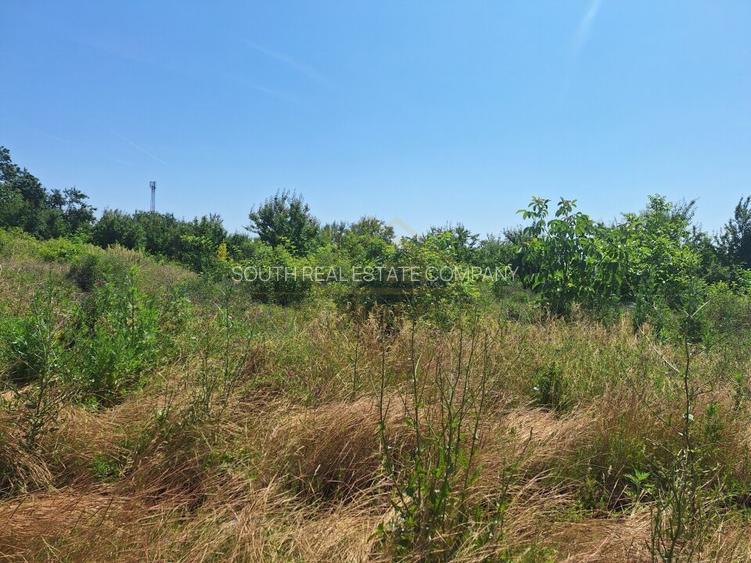 TEREN INTRAVILAN-748 MP-ADIACENT MIRASALU - 2