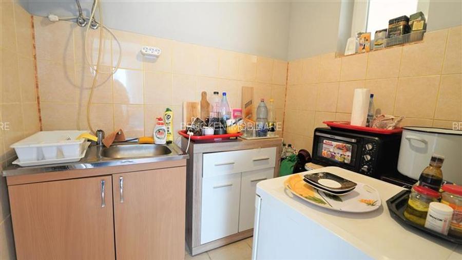 MICRO-FERMA + CASA IN VOIVOZI - BIHOR - 20
