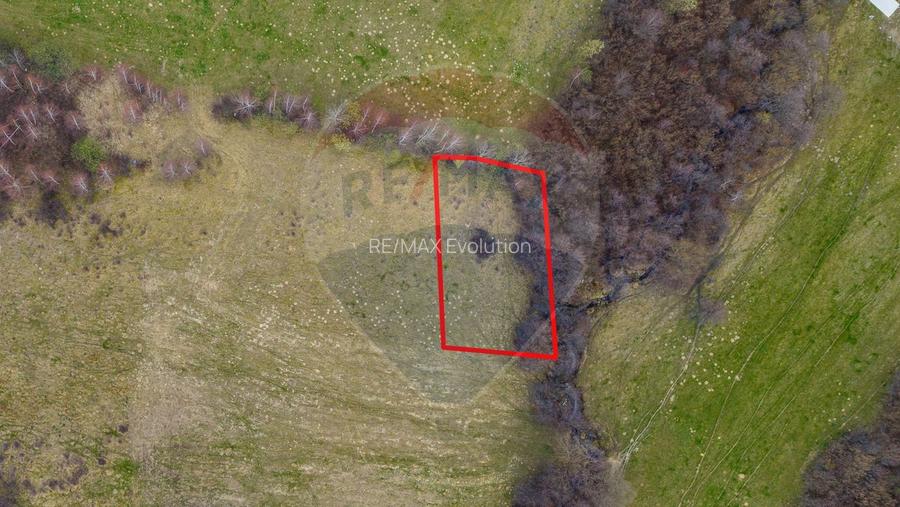 COMISION 0%| DE VANZARE| 480MP| INTRAVILAN| PRIVELISTE+LINISTE| - 3