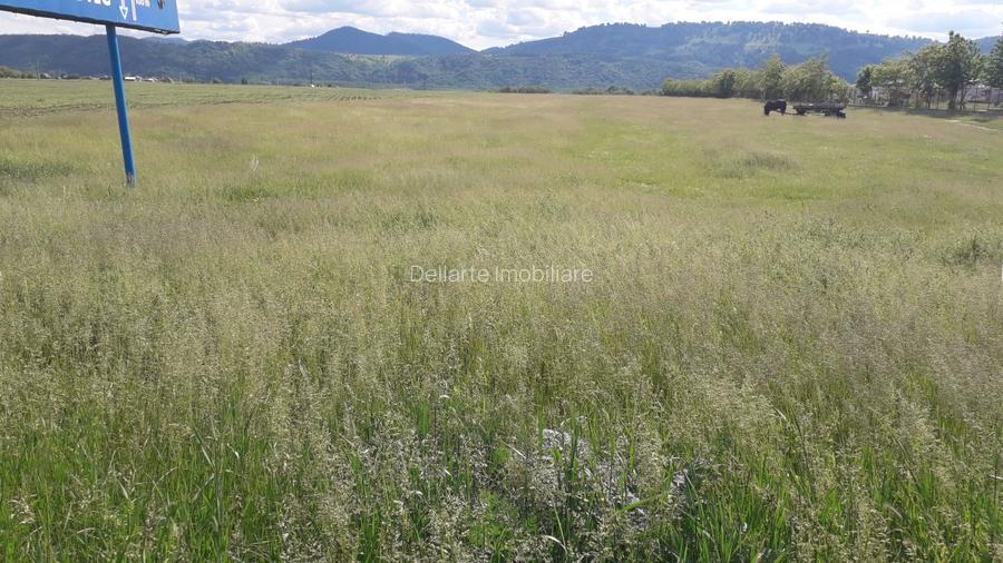 Teren intravilan 8900 mp,Dumbrava Rosiejud Neamt - 3