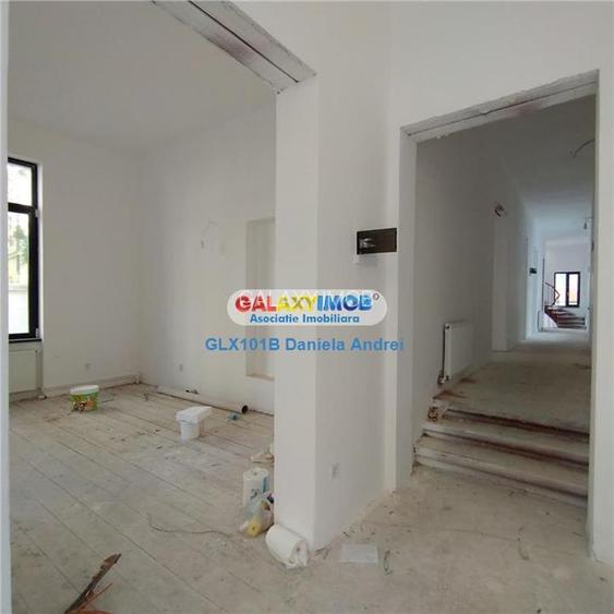 De inchiriat VILA  D+P+1E+M, TEREN 900 mp, parcare, ULTRACENTRAL - 27
