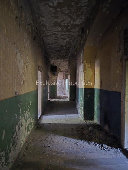 Proprietate reprezentativa fostul Hotel Europa din Timisoara - 5