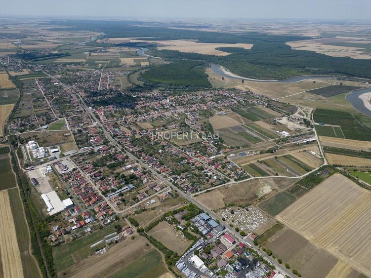 Teren intravilan 6.005 mp in Zădăreni - 13