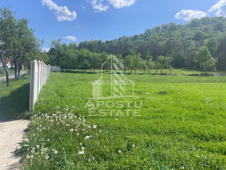 Teren intravilan, partial imprejmuit, eligibil grant- Pojoga, com. Zam - 7