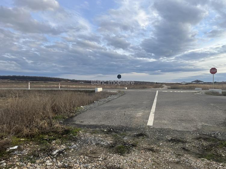 Teren 7481 mp, cu acces facil la Inelul Metropolitan - 3