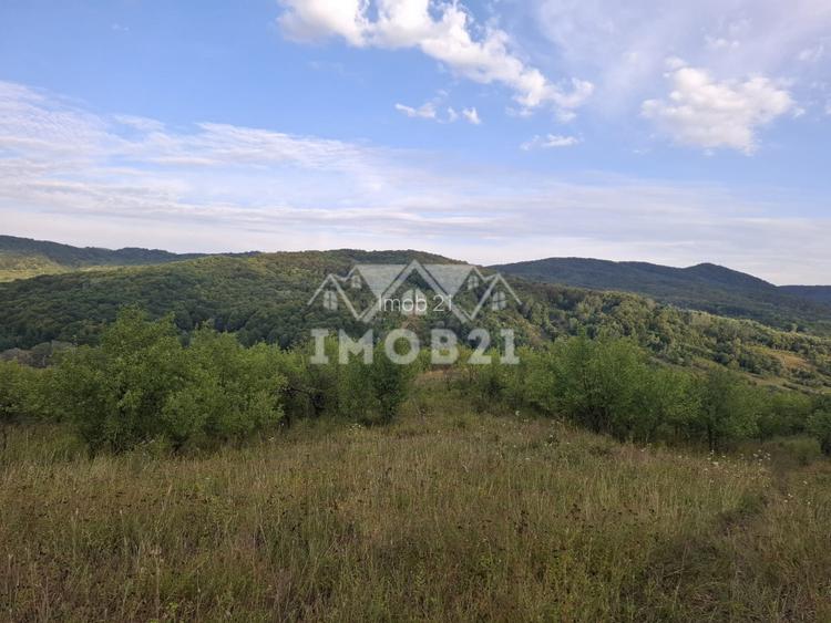 Teren spectaculos cu padure, livada si priveliste panoramica in Soimari PH - 12