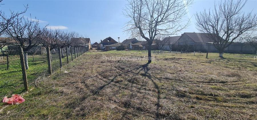 Teren 1270mp cu Casa in Santana, necesita amenajare/demolare - 8