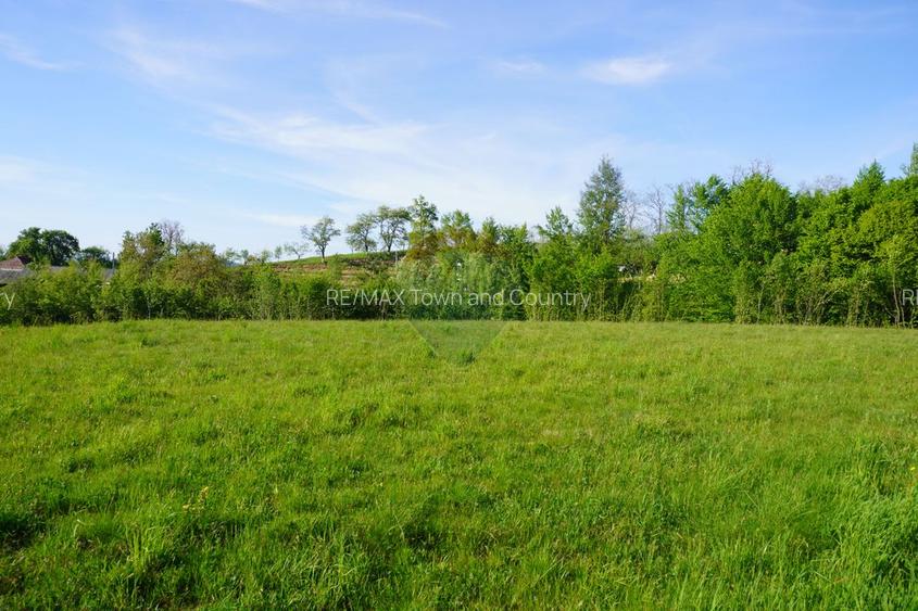 Teren 33,137mp Sighetu Marmatiei / Strada Mocăniței - 8