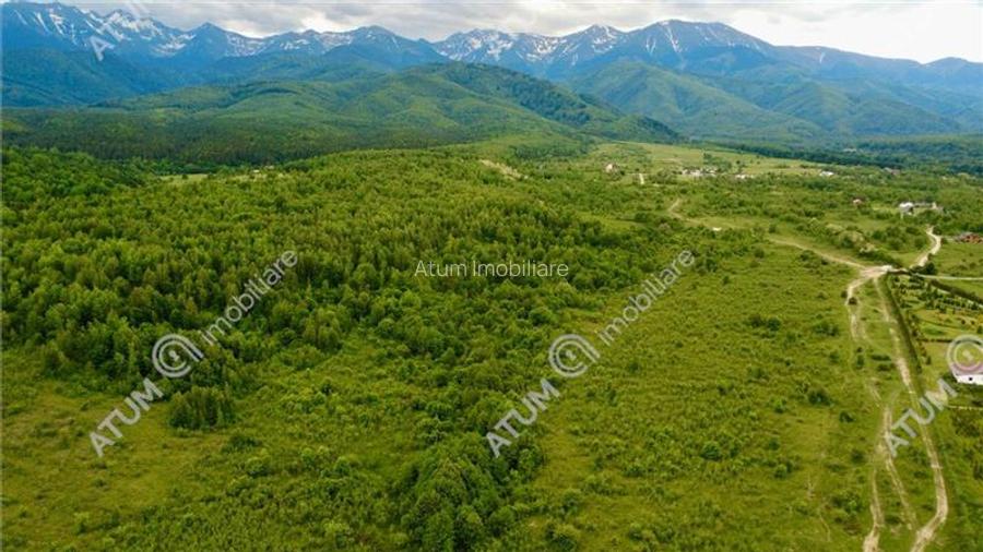 Teren extravilan 2000 mp in Porumbacu de Sus din Sibiu - 2