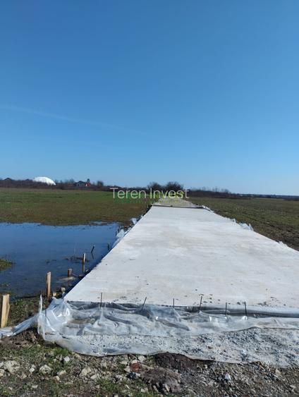 VÂNZARE TEREN INTRAVILAN 530 MP - SĂFTICA / BALOTEȘTI - 3