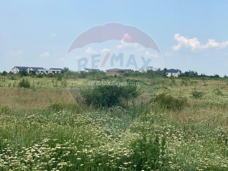 DE VANZARE Teren intravilan 600mp Drumul Piscul Mosului SISESTI - 15