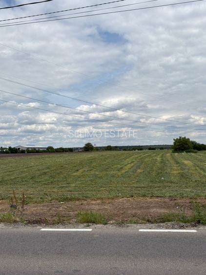 Teren intravilan 20.000 mp | DJ 602 la stradă | 55 ml deschidere | Ciorogârla - 5