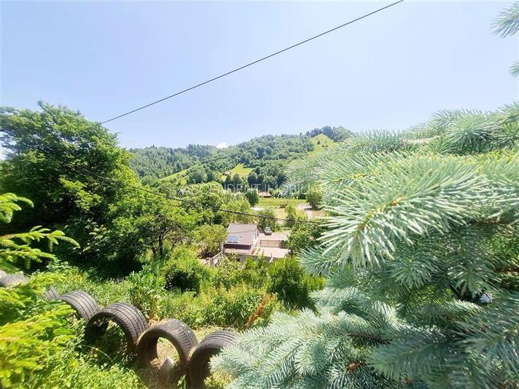 View superb:intravilan,constructie rezidenta/hotel,2.327 mp,Moieciu de Jos, Bran - 15