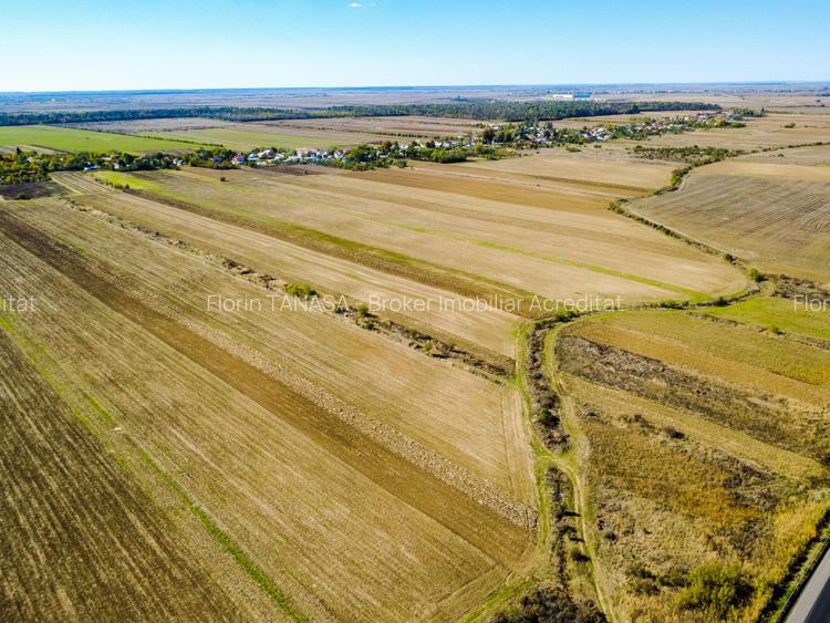 Terenuri industriale cu deschidere la A1, km 64 – Jugureni, Dambovita - 13