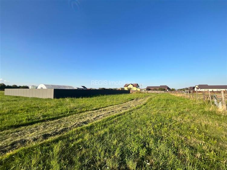 COMISION 0! TEREN INTRAVILAN, 1000MP, HARMAN - 3