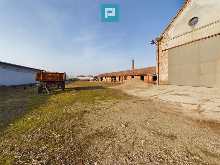 Teren și hale pe Calea Aradului din Periam - 13