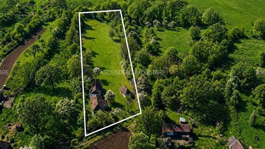 Domeniu de 3.400 mp cu traditionala casa, Suveica, Acatari Mures - 3