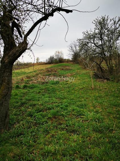Casa de vanzare cu teren  - 2
