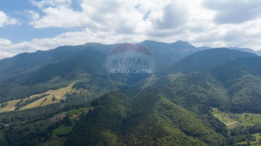 Teren Panoramic in Bran – Vedere spre Bucegi & Piatra Craiului - 3