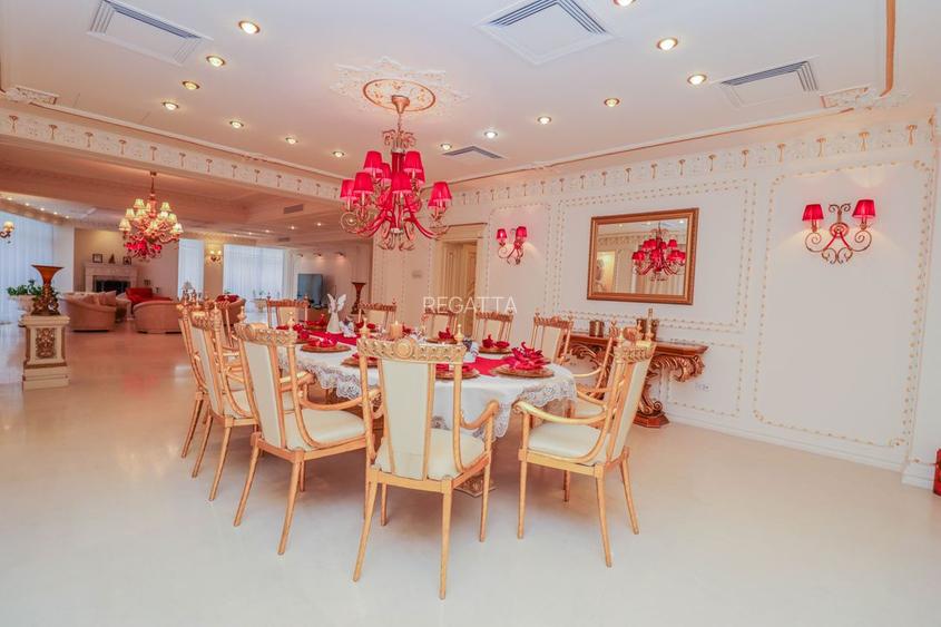 Vila de vanzare 11 camere zona Tei 1450 mp - 15