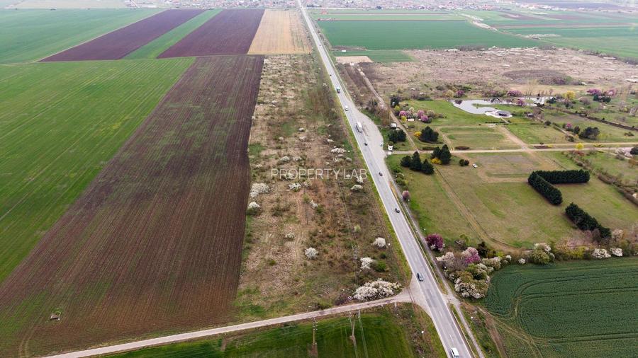 Teren de 41800 mp ieșire Vladimirescu - 2