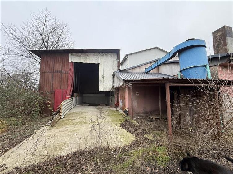 Hale industriale de inchiriat cu platforma betonata de 10.424mp - Șerbanest - 5