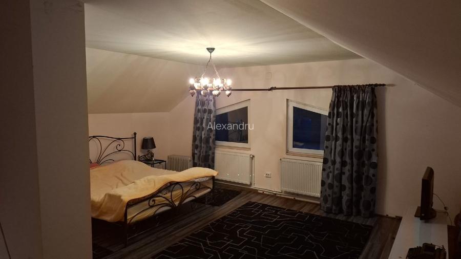 Proprietar vila Câmpulung Muscel str Dracesti 34 colt str Plaiesi - 13