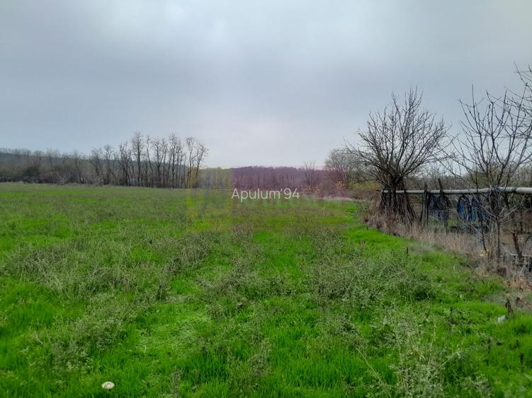 BARCANESTI -  casa +curte+teren 16k mp - 48