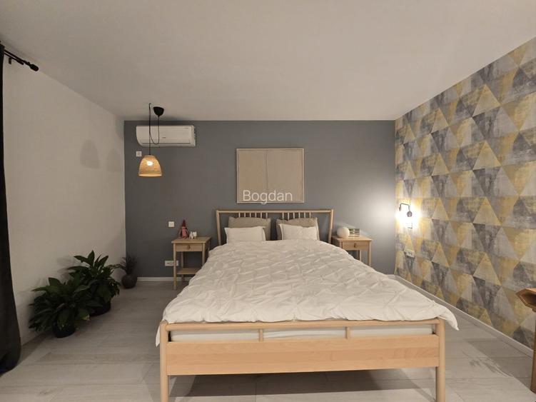 Inchiriere Vila Henri Coanda design deosebit - 13