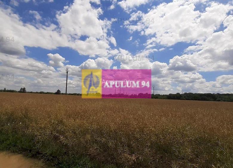 Teren 715mp în Snagov lângă Equestria - 51