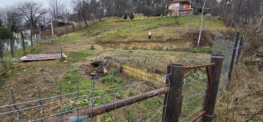 Teren construibil (intravilan) de vanzare, strada Viei nr. 30  - 4