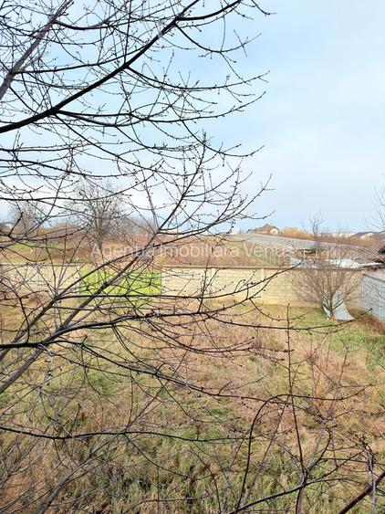 Casa cu 8800mp teren in Manastirea Doamnei - 3