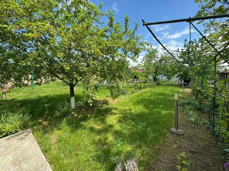 Casa cu 4000 mp teren, Letca Noua, Giurgiu — 40 min de București - 6