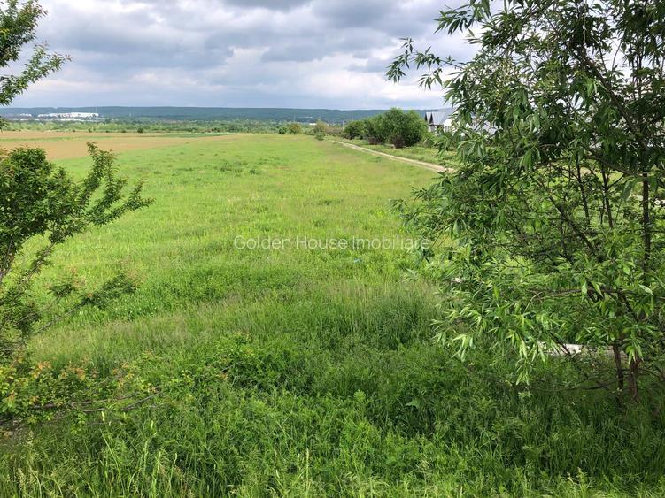 Teren Micesti cu deschidere la DN si drum lateral - 25 euro/mp negociabil - 4