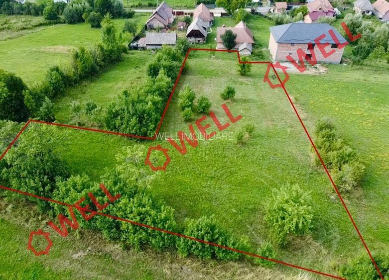 Teren intravilan de vânzare în Dalnic! - 2