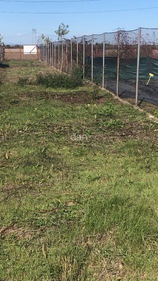 Rezidential Ciorogarla  ,1352mp, la padure  ideal pentru casa sau investitie - 3