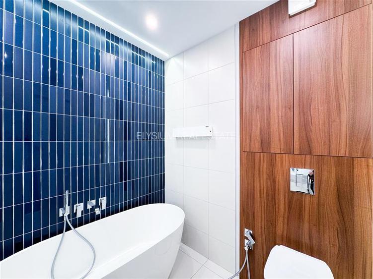 Apartament 3 camere de inchiriat Gradina Icoanei - 21