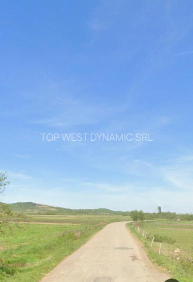 Teren 4524 mp lângă Ștei - 2