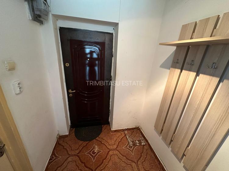 Garsoniera Delfinului 30 mp - 14