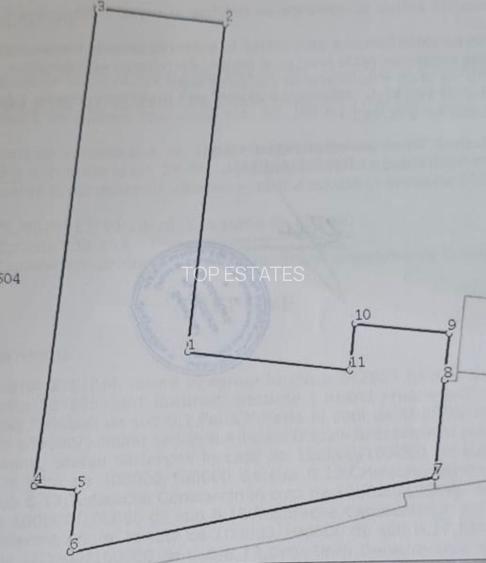 Vanzare apartament 3 camere Gradina zoo- Privighetorilor, Pipera - 2