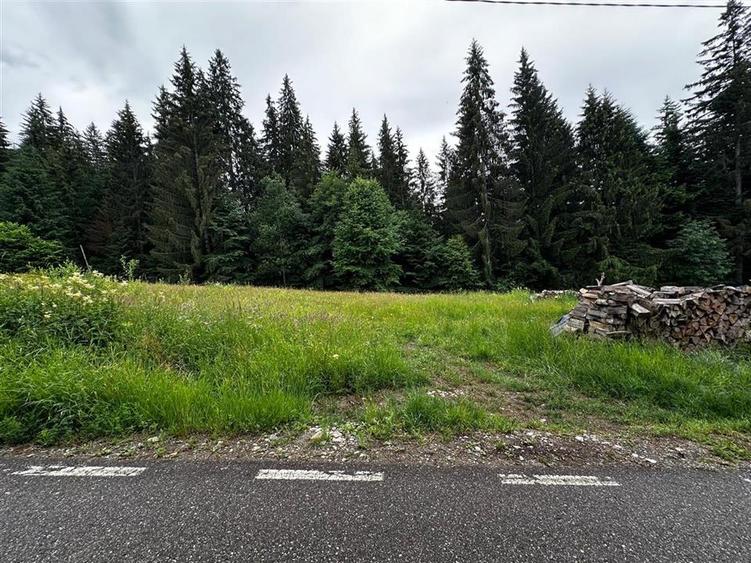 Teren in Statiunea Durau, Ceahlau, 1046mp, str. Stejarului