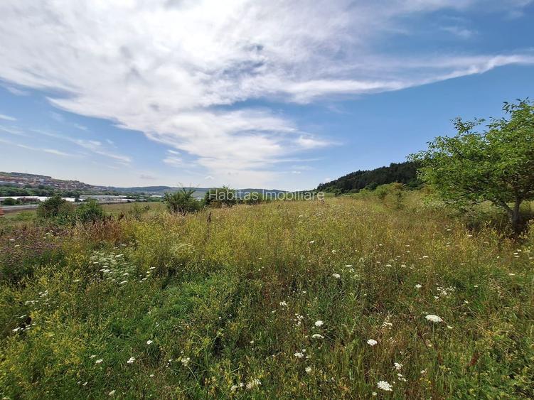 Teren intravilan 5.800 mp, Baciu Vatra Satului Vechi, Panorama superba - 19