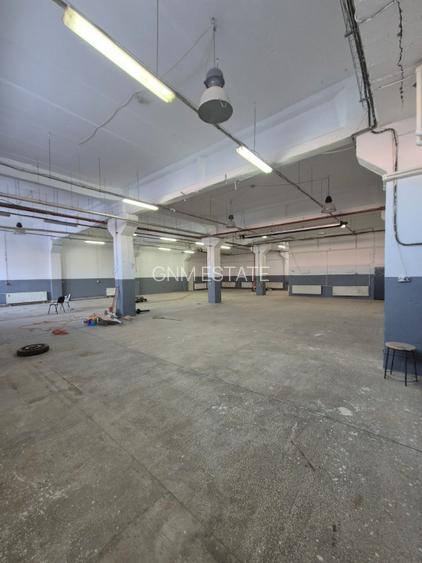 Vanzare Hala P+!  sector 3 Drum intre Tarlale - 2