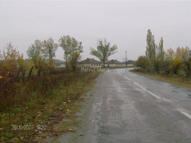 Teren de vanzare agricol si constructie hale cu posibila  legatura la curent - 3